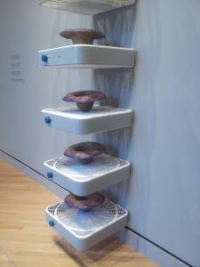 Running box fans and sombreros.